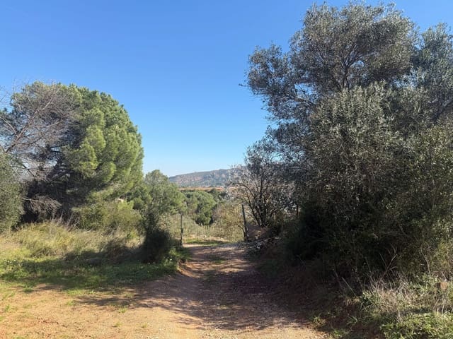 Ubebygd land til salgs i Barcelona by - € 175 000 (Ref: 9991175)