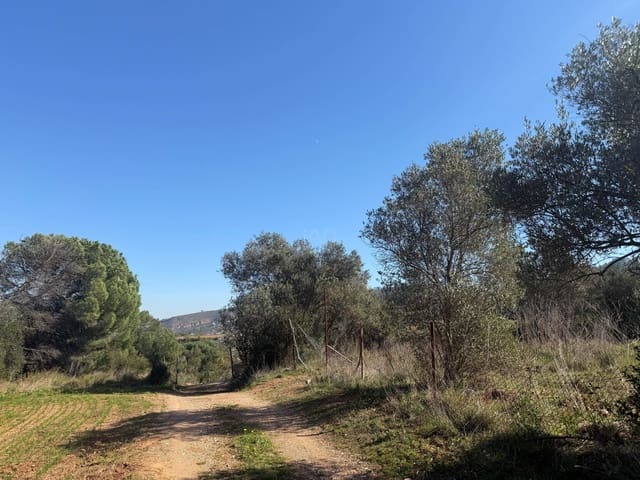Ubebygd land til salgs i Barcelona by - € 175 000 (Ref: 9991175)