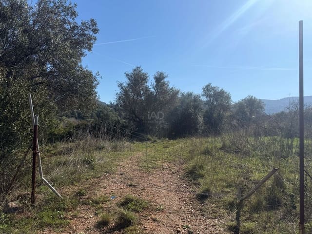 Ubebygd land til salgs i Barcelona by - € 175 000 (Ref: 9991175)
