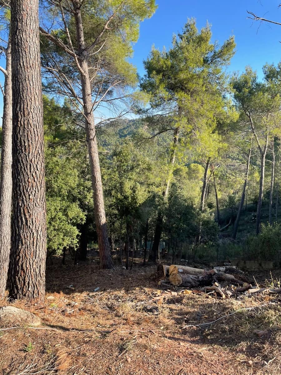 Undeveloped Land for sale in Castellar del Valles - € 35,000 (Ref: 9991186)
