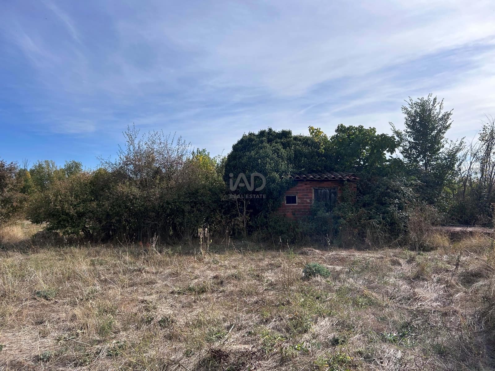 Undeveloped Land for sale in Leon city - € 68,000 (Ref: 9991205)