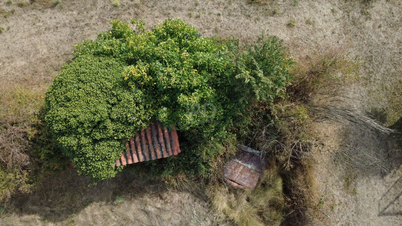 Undeveloped Land for sale in Leon city - € 68,000 (Ref: 9991205)