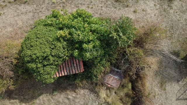 Undeveloped Land for sale in León city - € 68,000 (Ref: 9991205)