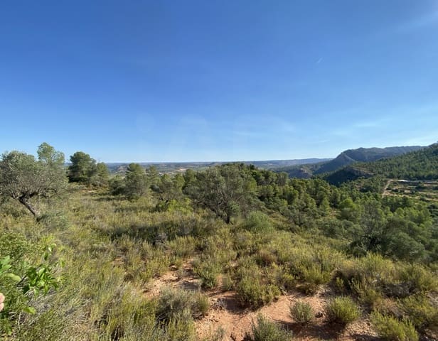 Terreno Não Urbanizado para venda em Ascó - 120 000 € (Ref: 9991233)