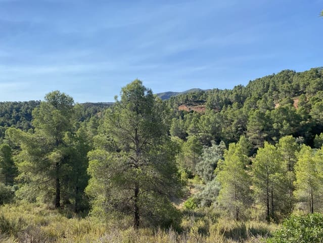 Terreno Não Urbanizado para venda em Ascó - 120 000 € (Ref: 9991233)