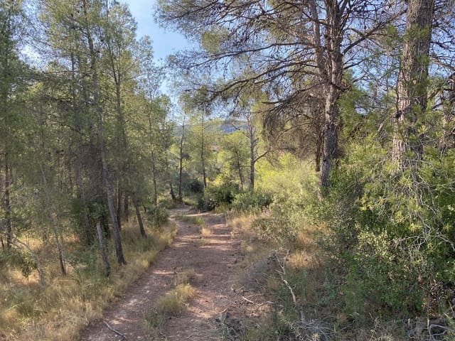 Terreno Não Urbanizado para venda em Ascó - 120 000 € (Ref: 9991233)
