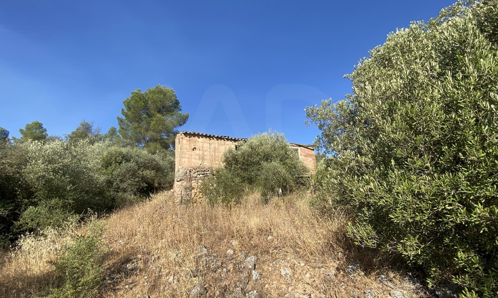 Grunde uden byggetilladelser til salg i Asco - € 120.000 (Ref: 9991233)