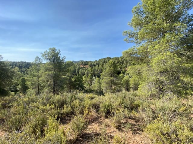 Terreno Não Urbanizado para venda em Ascó - 120 000 € (Ref: 9991233)