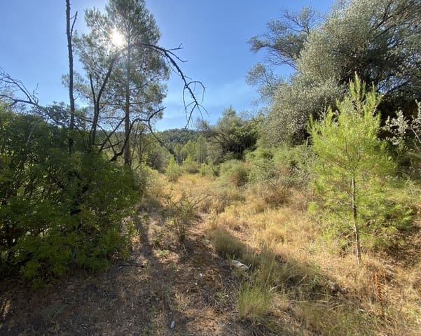 Terreno/Finca Rústica en Ascó en venta - 120.000 € (Ref: 9991233)
