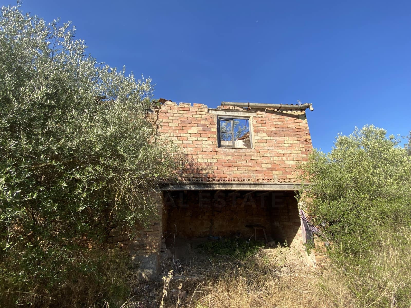 Grunde uden byggetilladelser til salg i Asco - € 120.000 (Ref: 9991233)