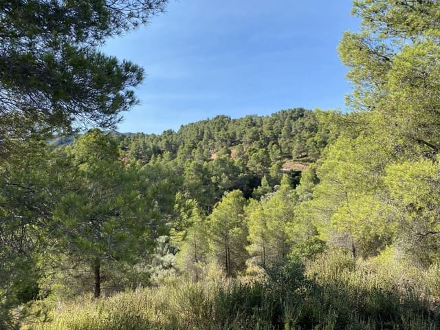 Terreno Não Urbanizado para venda em Ascó - 120 000 € (Ref: 9991233)