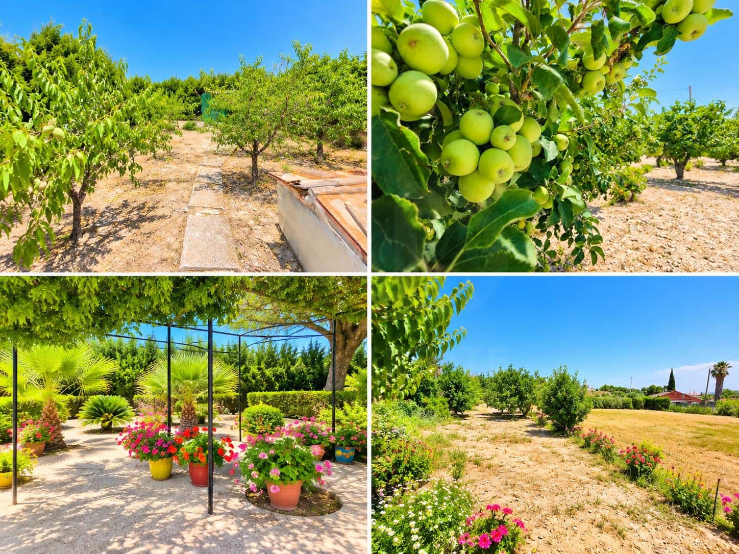4 camera da letto Finca/Casa di Campagna in vendita in Cieza con piscina garage - 240.000 € (Rif: 9991238)