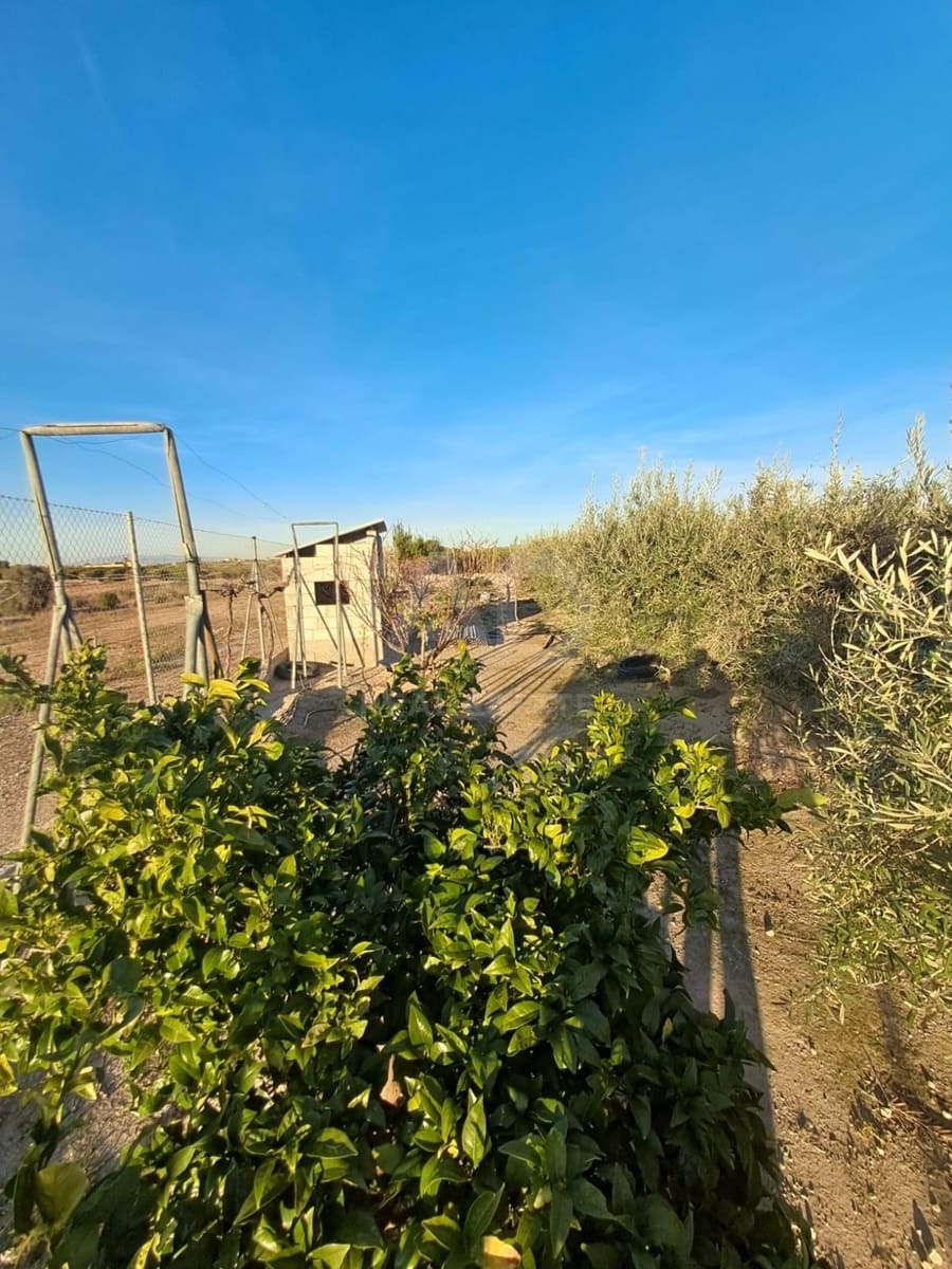 Casa de 2 habitaciones en Lorca en venta con garaje - 175.000 € (Ref: 9991241)