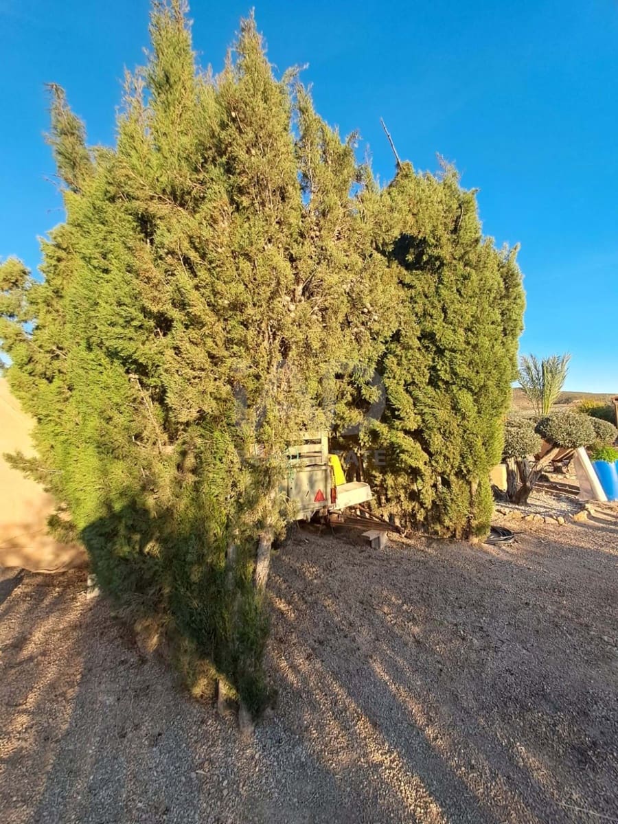 Casa de 2 habitaciones en Lorca en venta con garaje - 175.000 € (Ref: 9991241)
