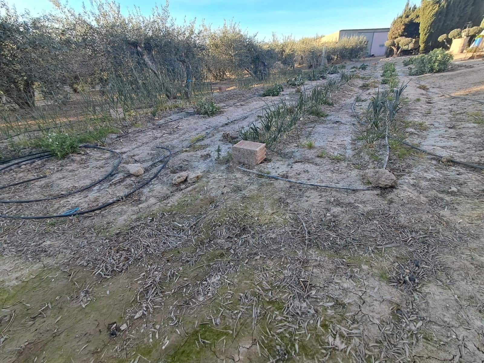 Casa de 2 habitaciones en Lorca en venta con garaje - 175.000 € (Ref: 9991241)