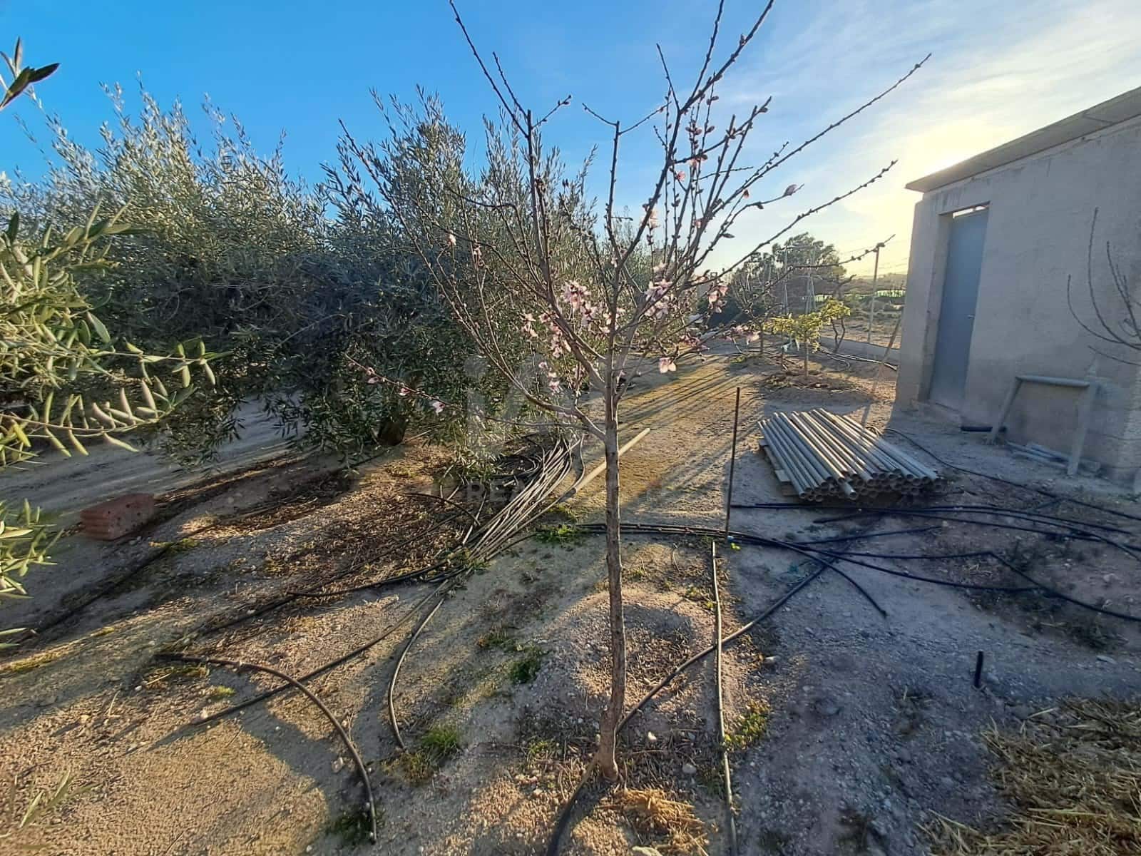 Casa de 2 habitaciones en Lorca en venta con garaje - 175.000 € (Ref: 9991241)