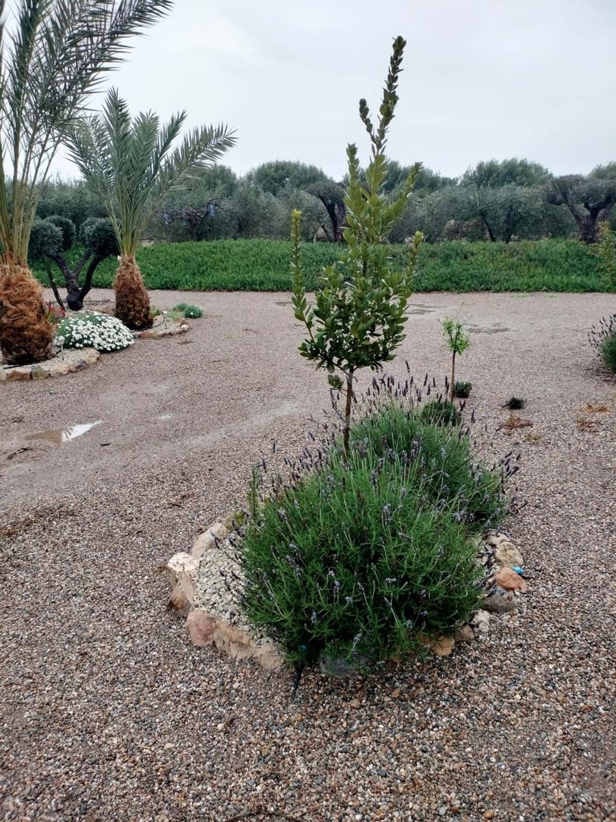 Casa de 2 habitaciones en Lorca en venta con garaje - 175.000 € (Ref: 9991241)