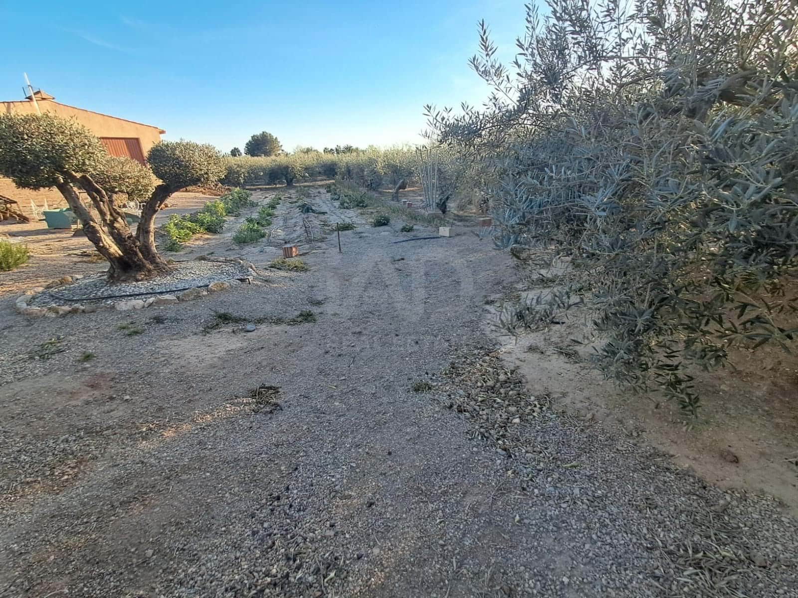 Casa de 2 habitaciones en Lorca en venta con garaje - 175.000 € (Ref: 9991241)