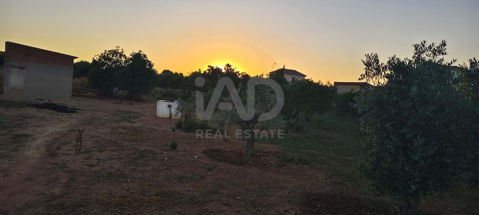 Teren niezagospodarowany na sprzedaż w Miasto Sewilla - 83 630 € (Ref: 9991243)