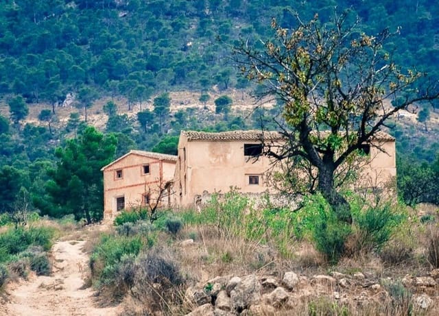 Ubebygd land til salgs i Cieza - € 199 000 (Ref: 9991248)