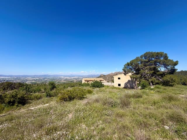 Ubebygd land til salgs i Cieza - € 199 000 (Ref: 9991248)