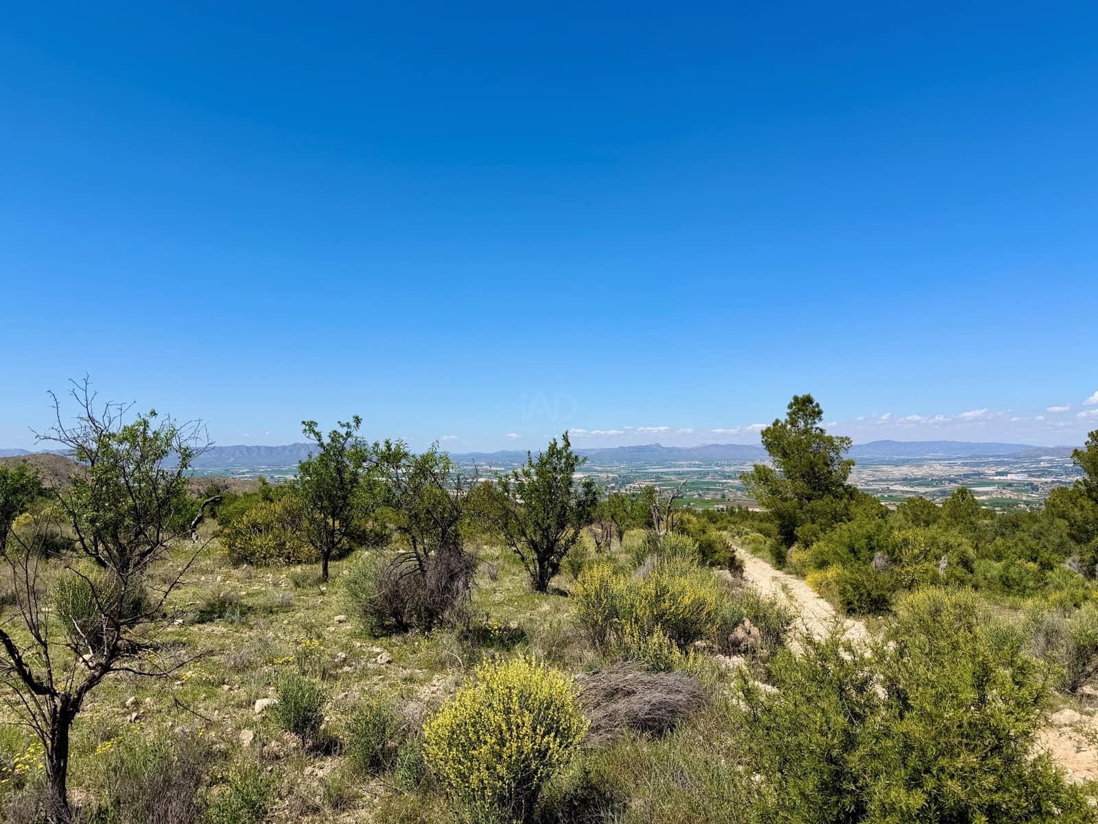 Terreno Non Edificato in vendita in Cieza - 199.000 € (Rif: 9991248)
