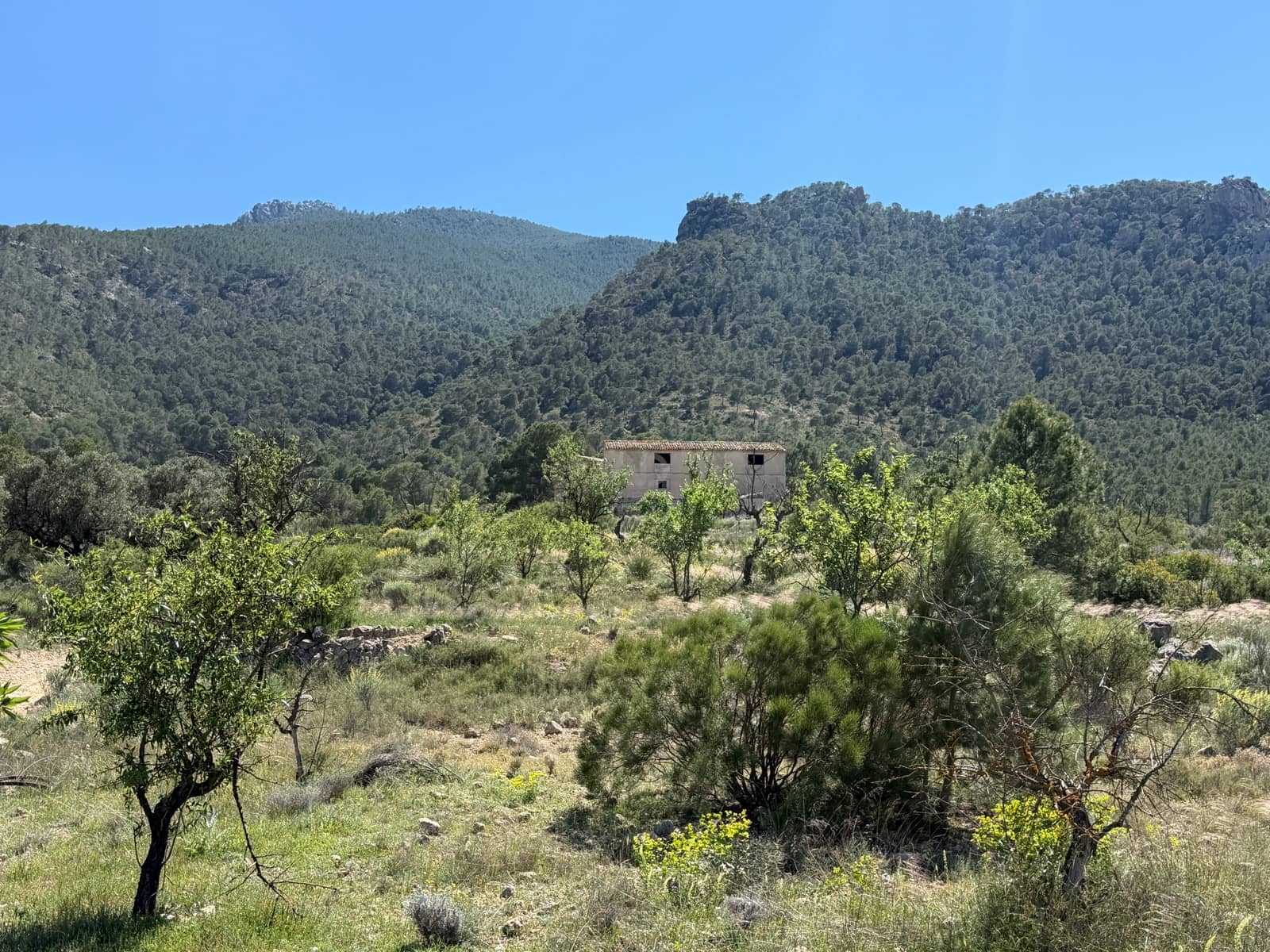 Terreno Non Edificato in vendita in Cieza - 199.000 € (Rif: 9991248)