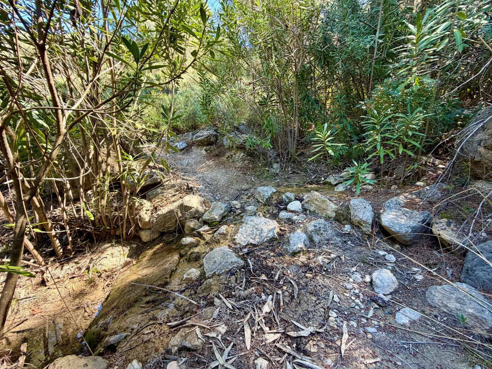 Terreno Non Edificato in vendita in Cieza - 199.000 € (Rif: 9991248)
