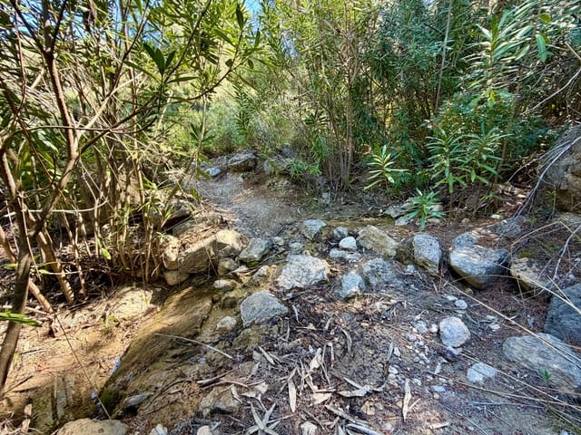 Ubebygd land til salgs i Cieza - € 199 000 (Ref: 9991248)
