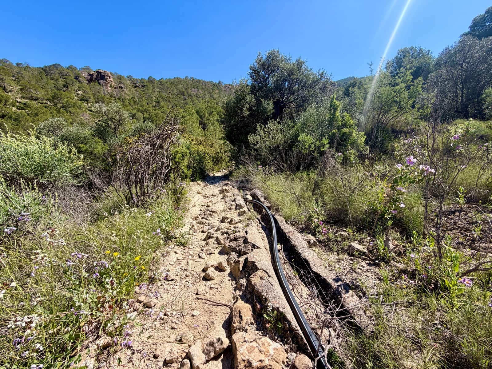 Terreno Non Edificato in vendita in Cieza - 199.000 € (Rif: 9991248)