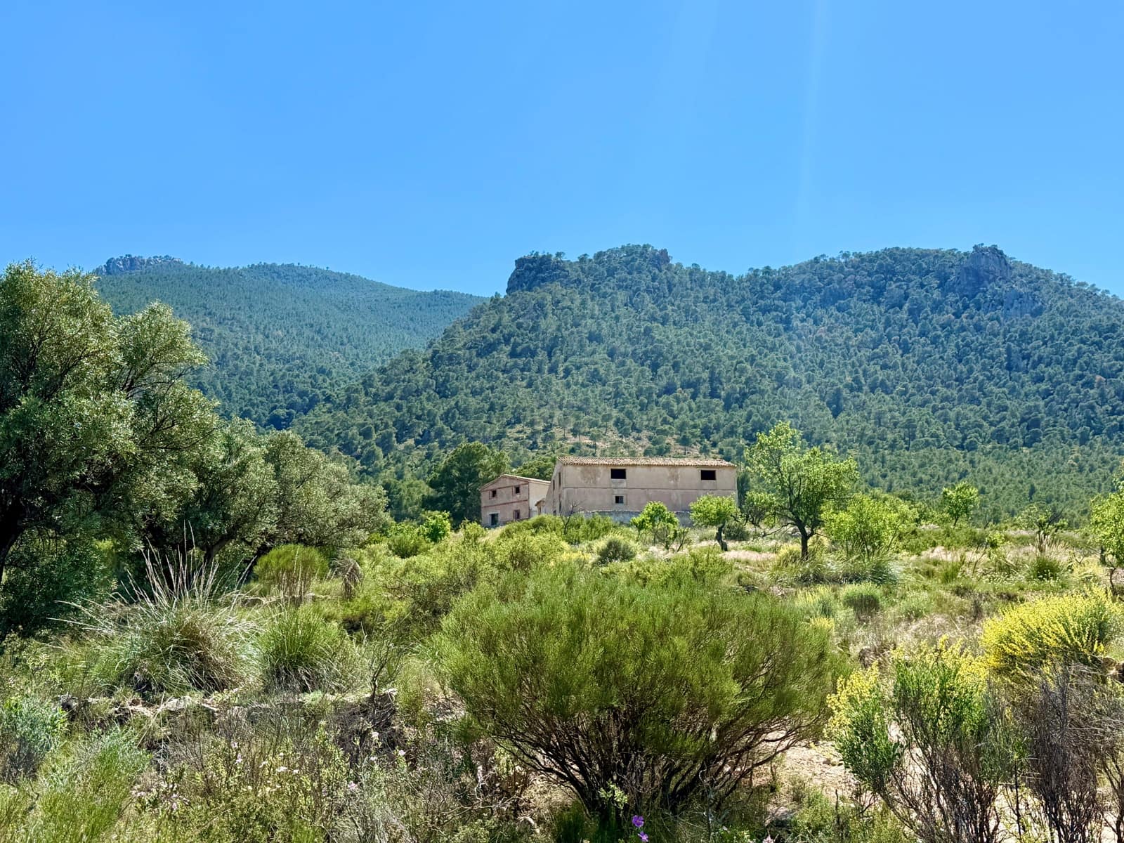 Terreno Non Edificato in vendita in Cieza - 199.000 € (Rif: 9991248)