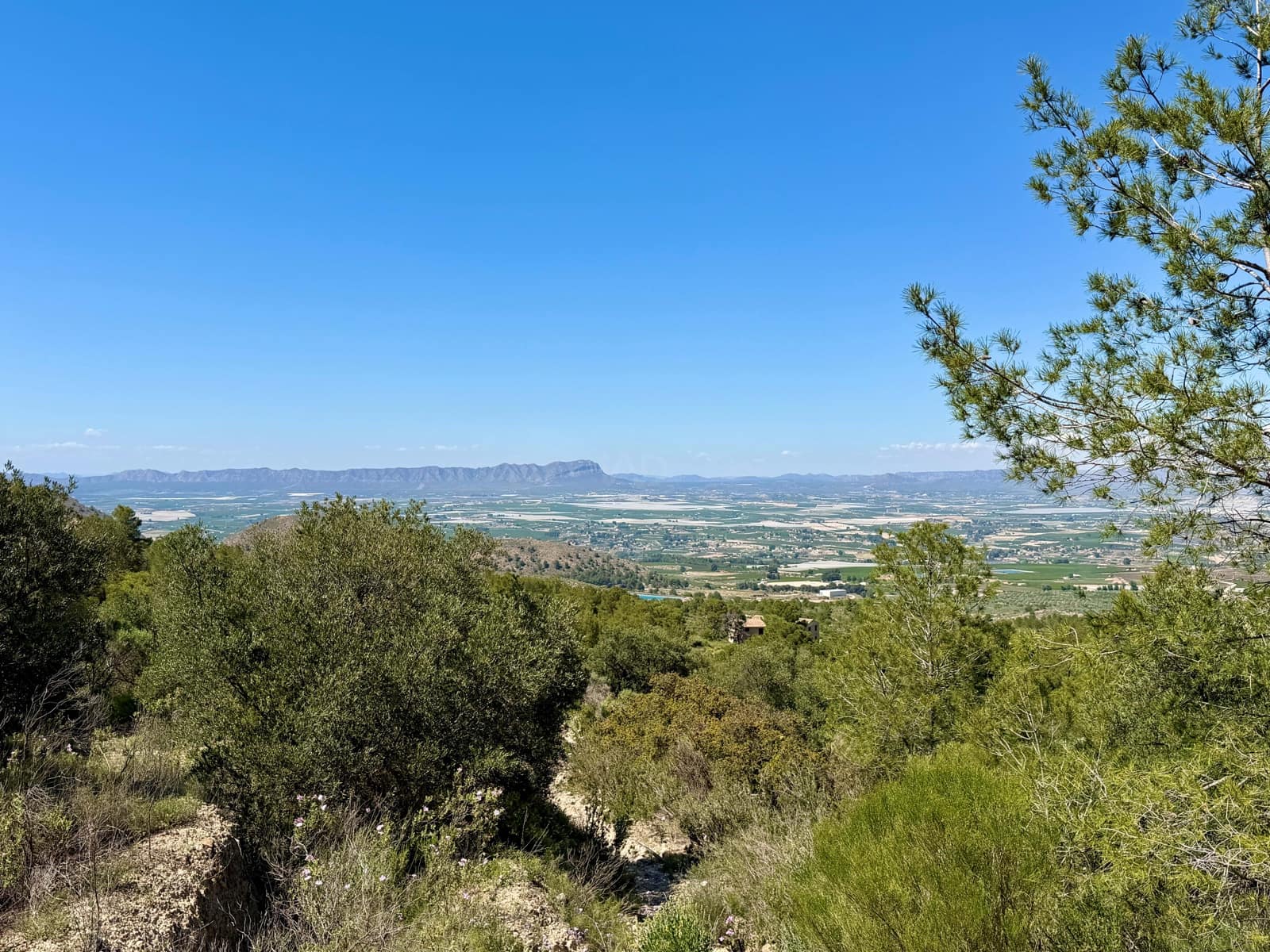 Terreno Non Edificato in vendita in Cieza - 199.000 € (Rif: 9991248)