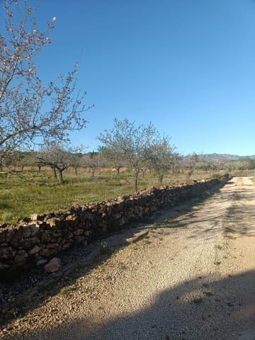 Ubebygd land til salgs i Tarragona by - € 23 000 (Ref: 9991249)