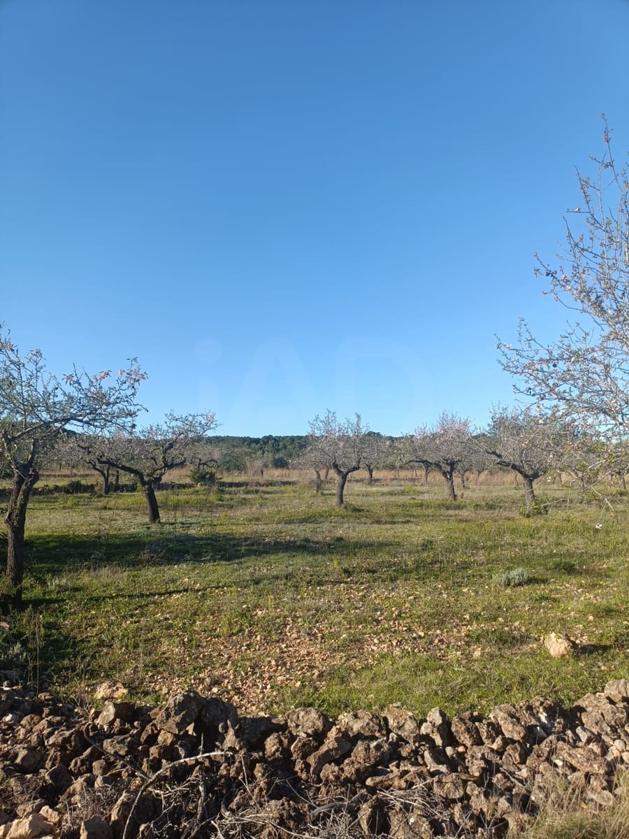 Terreno Non Edificato in vendita in Tarragona citta - 23.000 € (Rif: 9991249)