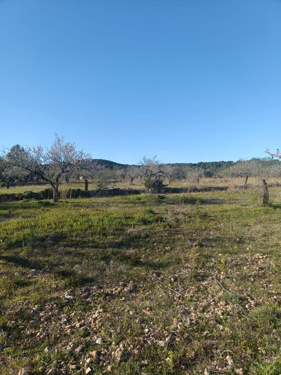 Terreno Non Edificato in vendita in Tarragona citta - 23.000 € (Rif: 9991249)