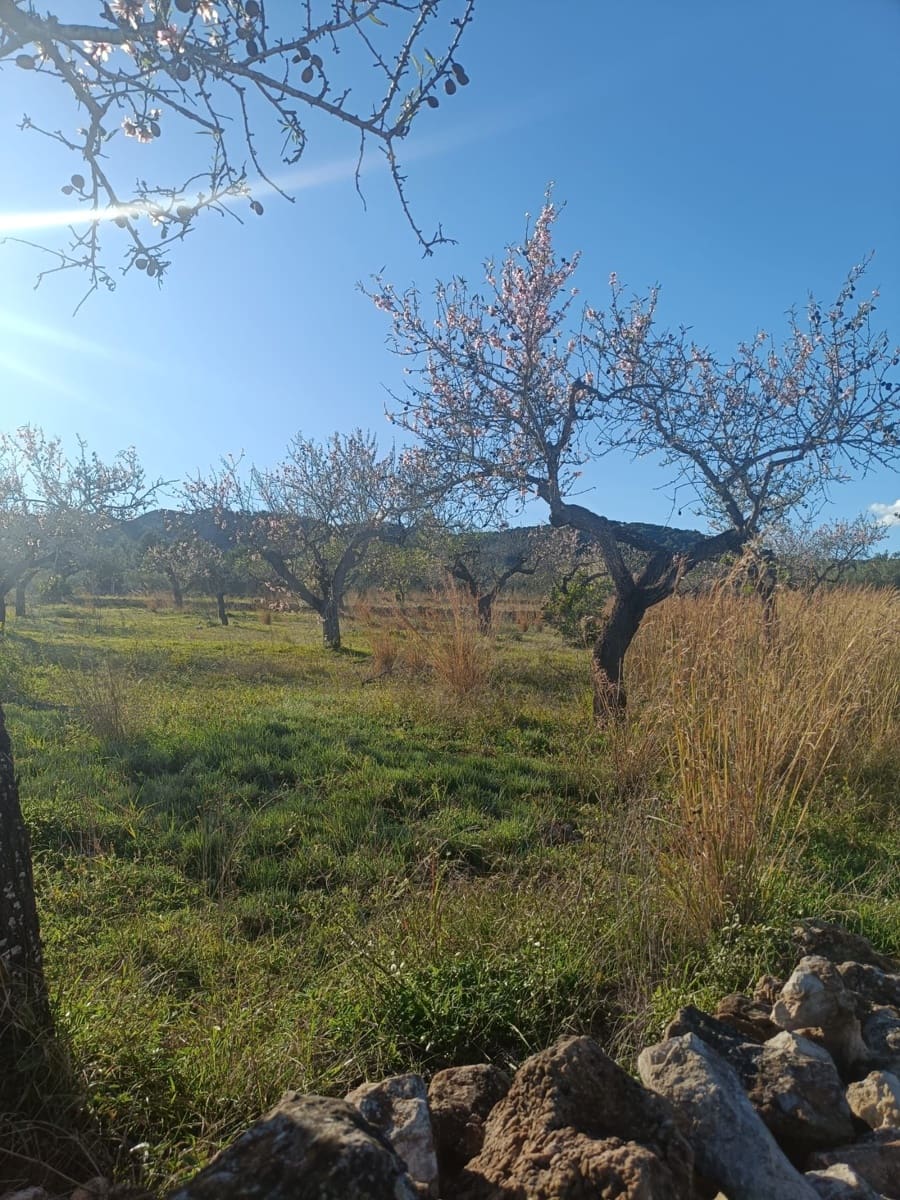 Terreno Non Edificato in vendita in Tarragona citta - 23.000 € (Rif: 9991249)