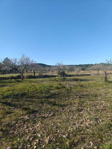 Ubebygd land til salgs i Tarragona by - € 23 000 (Ref: 9991249)