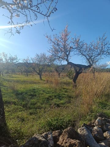Ubebygd land til salgs i Tarragona by - € 23 000 (Ref: 9991249)