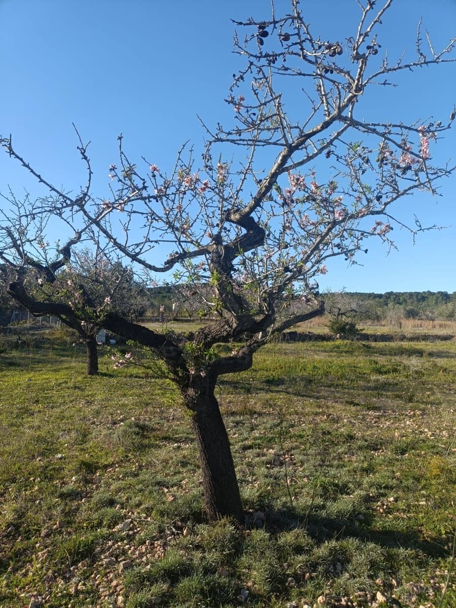 Terreno Non Edificato in vendita in Tarragona citta - 23.000 € (Rif: 9991249)