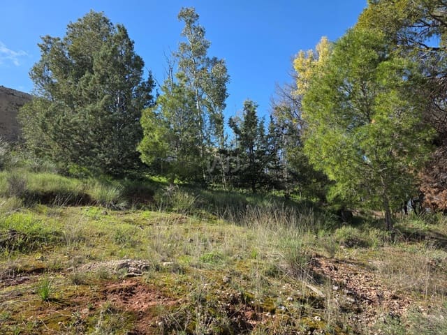 Grunde uden byggetilladelser til salg i Calasparra - € 15.000 (Ref: 9991253)