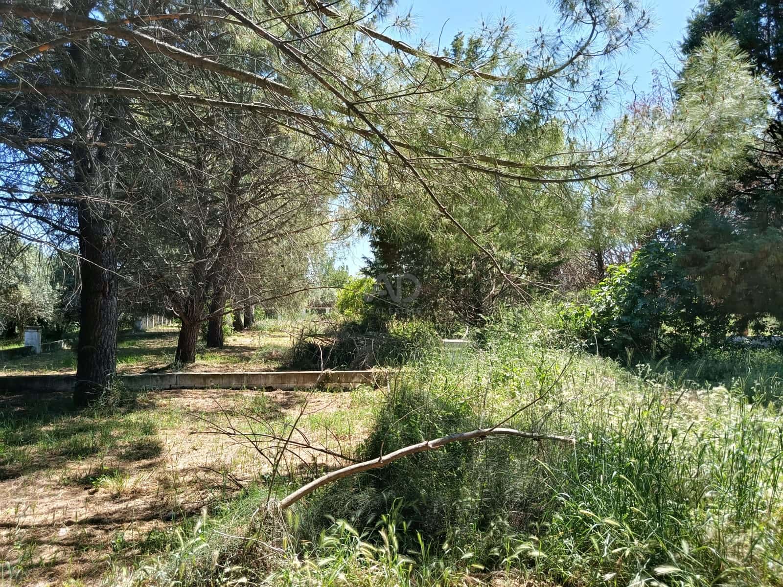 Tontti myytävänä paikassa Madrid kaupunki - 649 990 € (Ref: 9991254)