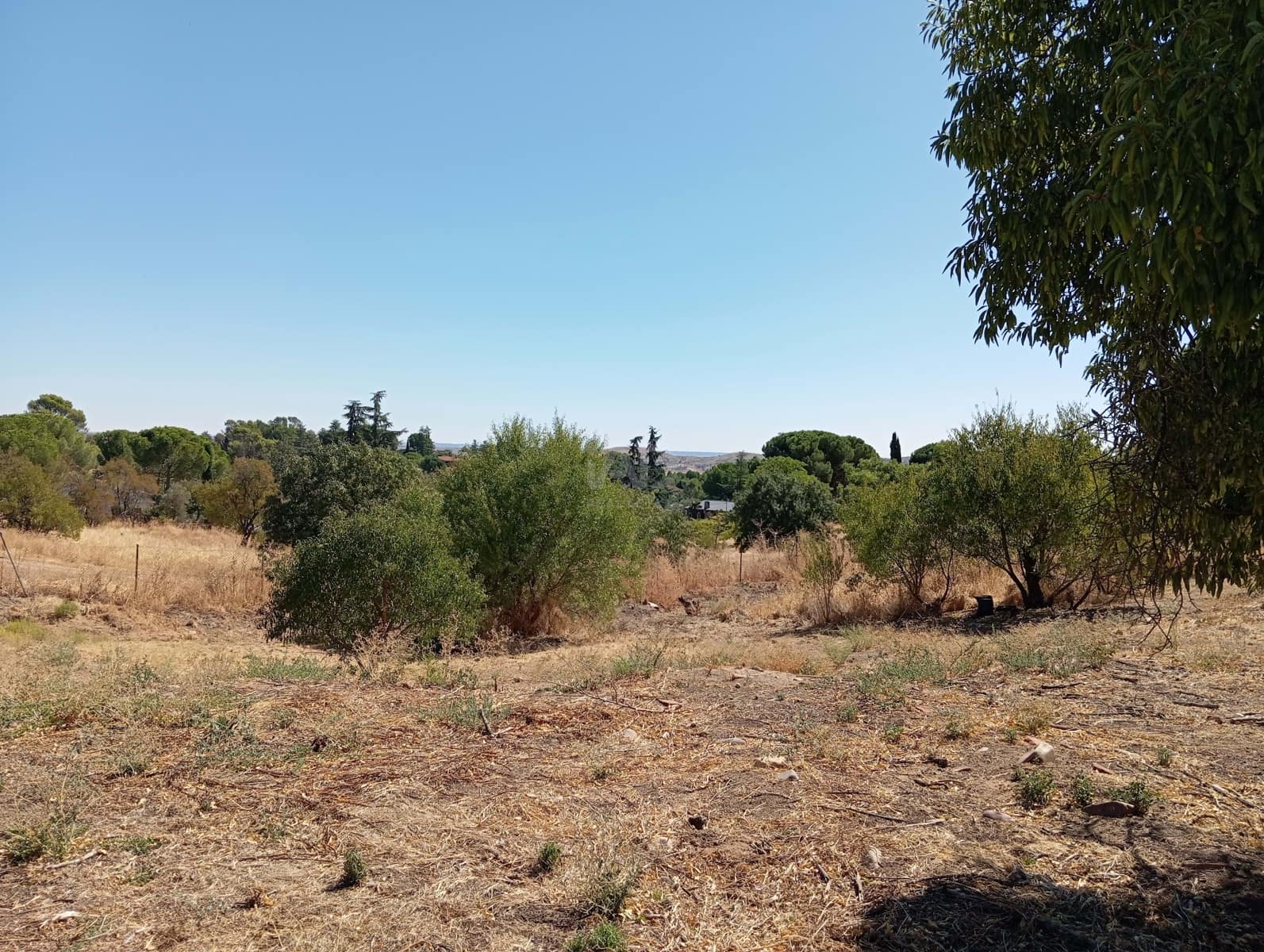 Tomt till salu i Madrid stad - 175 000 € (Ref: 9991258)