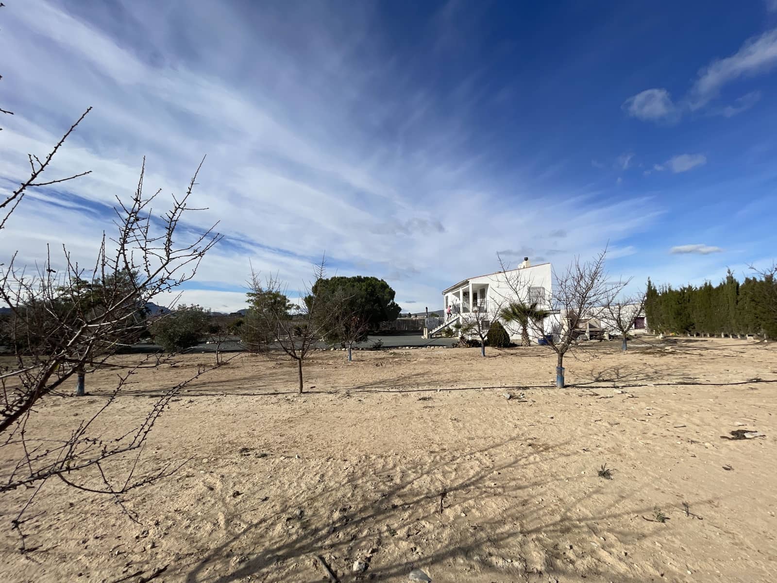 3 sovrum Finca/Hus på landet till salu i Blanca med garage - 190 000 € (Ref: 9991260)