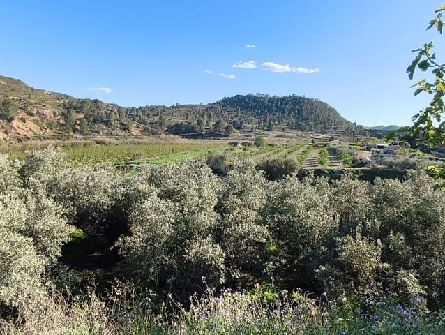 Grond te koop in Calasparra - € 17.000 (Ref: 9991262)