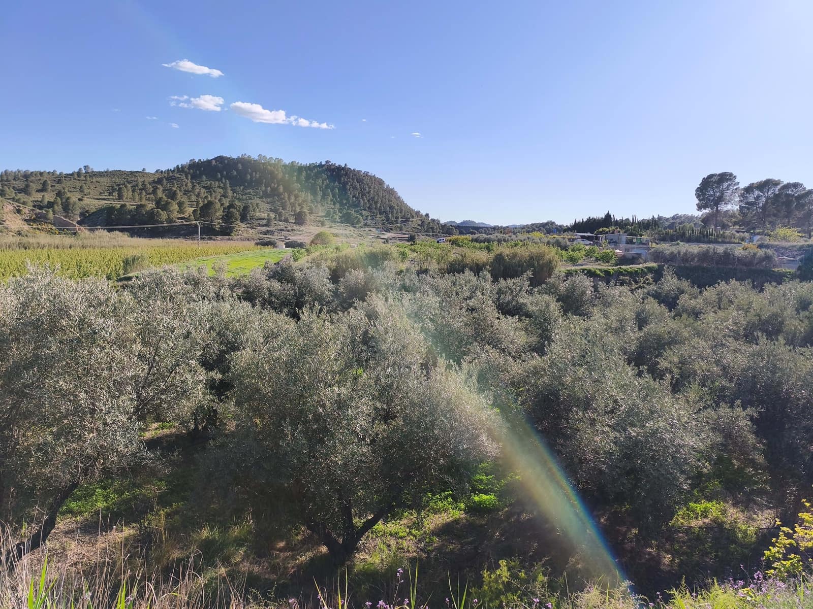 Grond te koop in Calasparra - € 17.000 (Ref: 9991262)