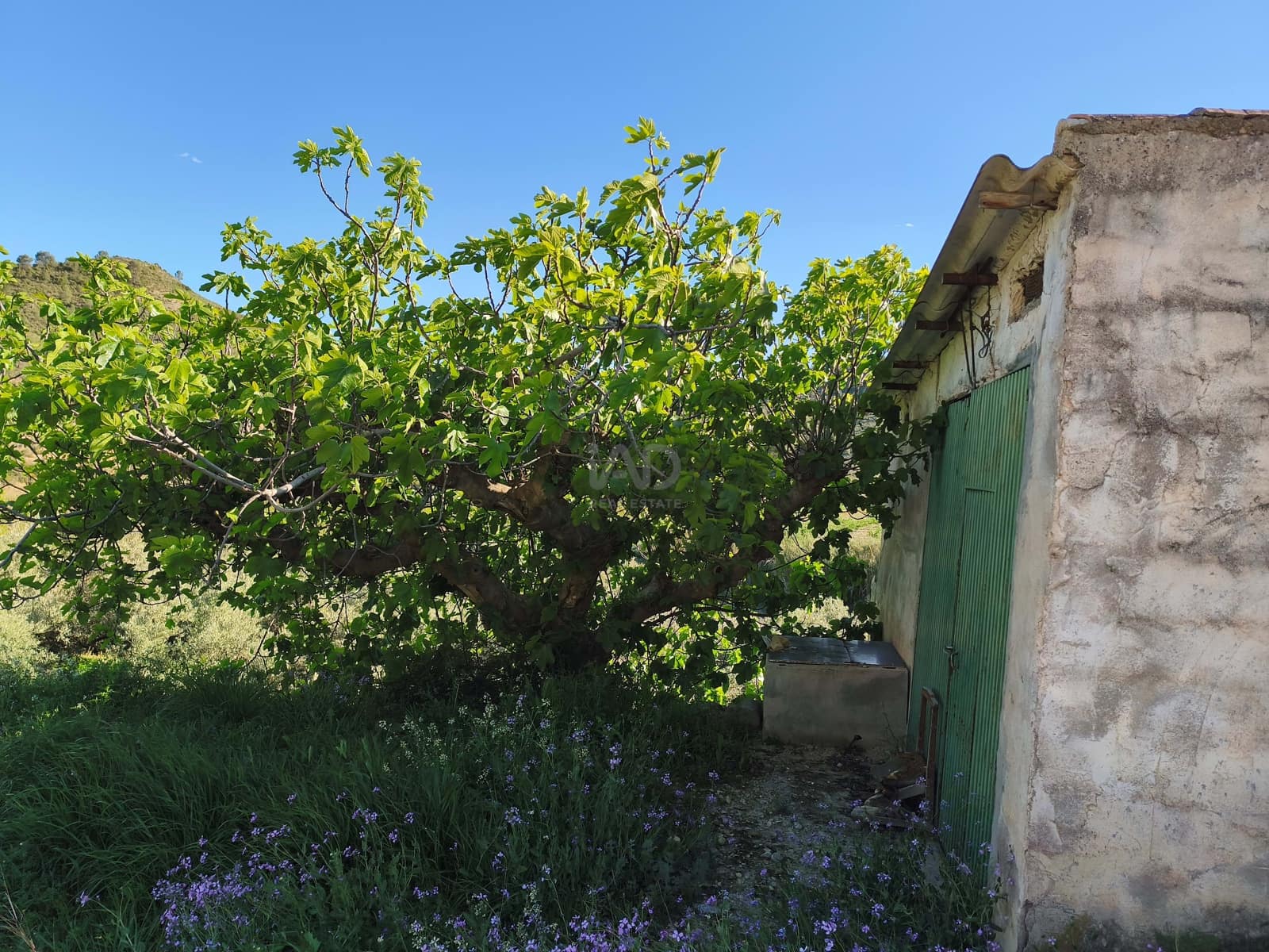 Grond te koop in Calasparra - € 17.000 (Ref: 9991262)