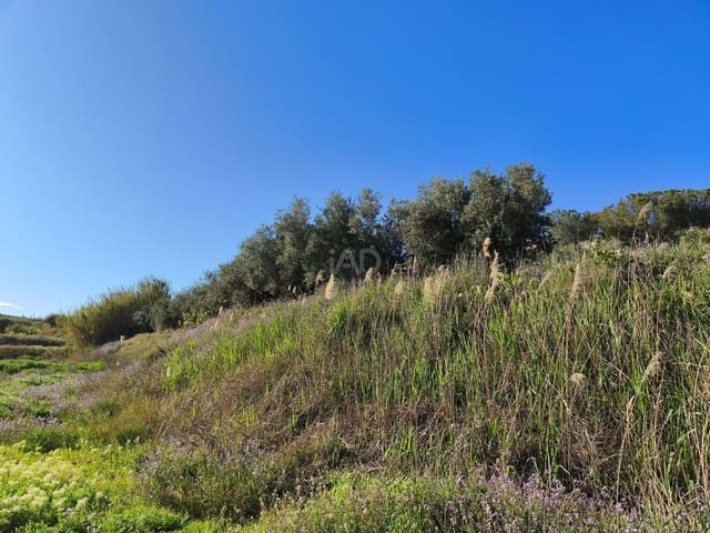 Grond te koop in Calasparra - € 17.000 (Ref: 9991262)