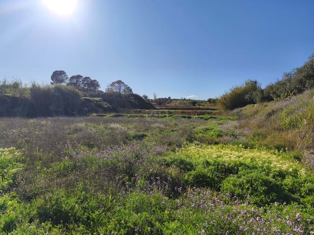 Grond te koop in Calasparra - € 17.000 (Ref: 9991262)