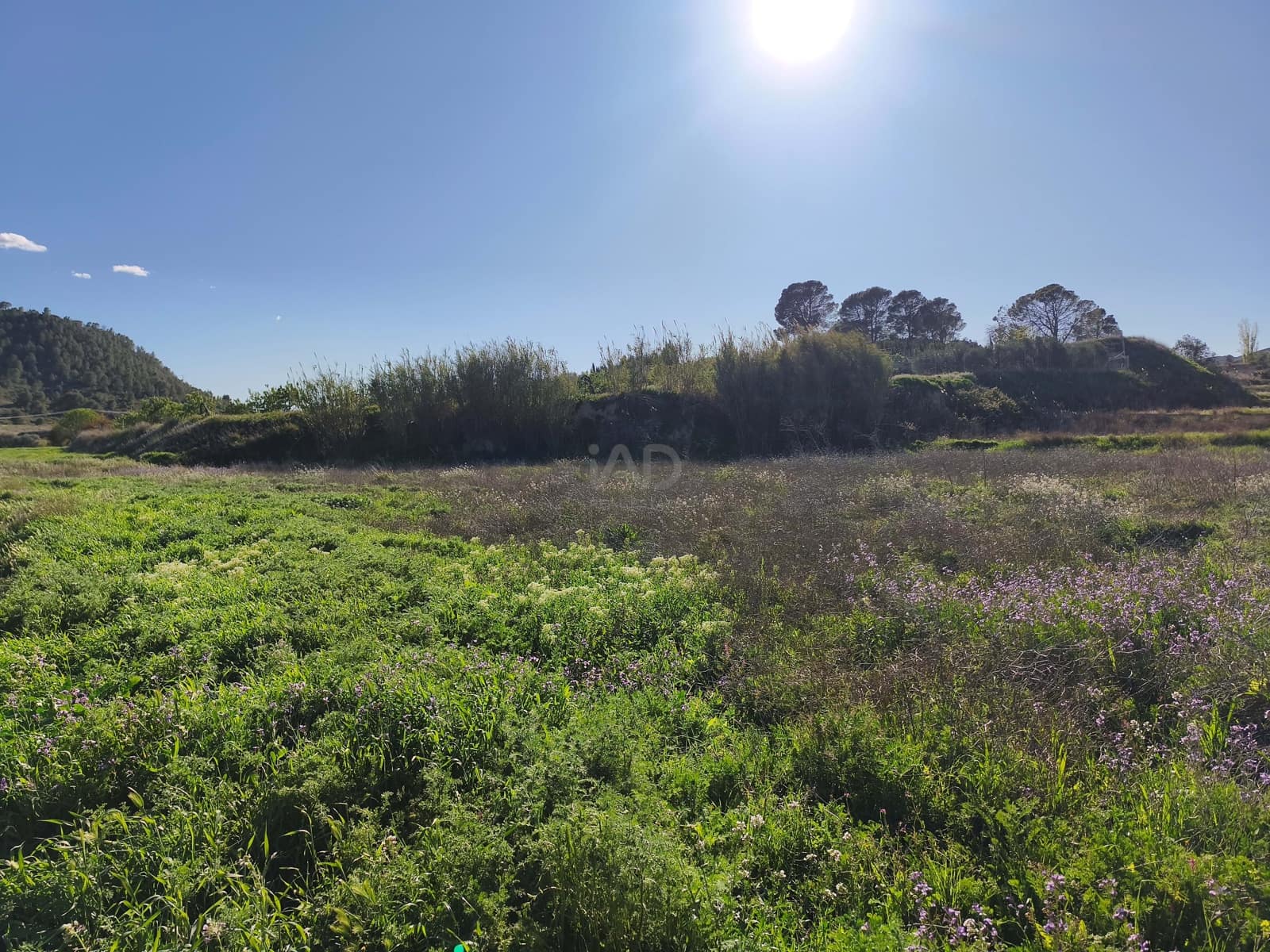 Grond te koop in Calasparra - € 17.000 (Ref: 9991262)