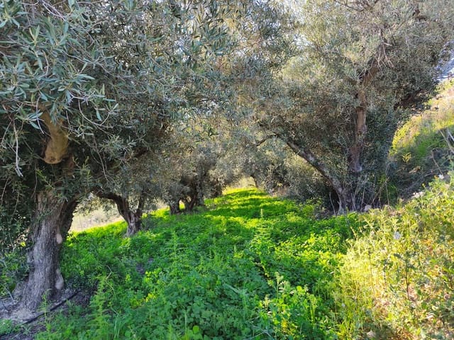 Grond te koop in Calasparra - € 17.000 (Ref: 9991262)